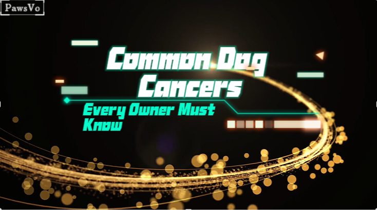 Dog Cancers Every Owner Must Know. 